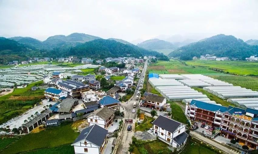 遵义市播州区枫香镇花茂村