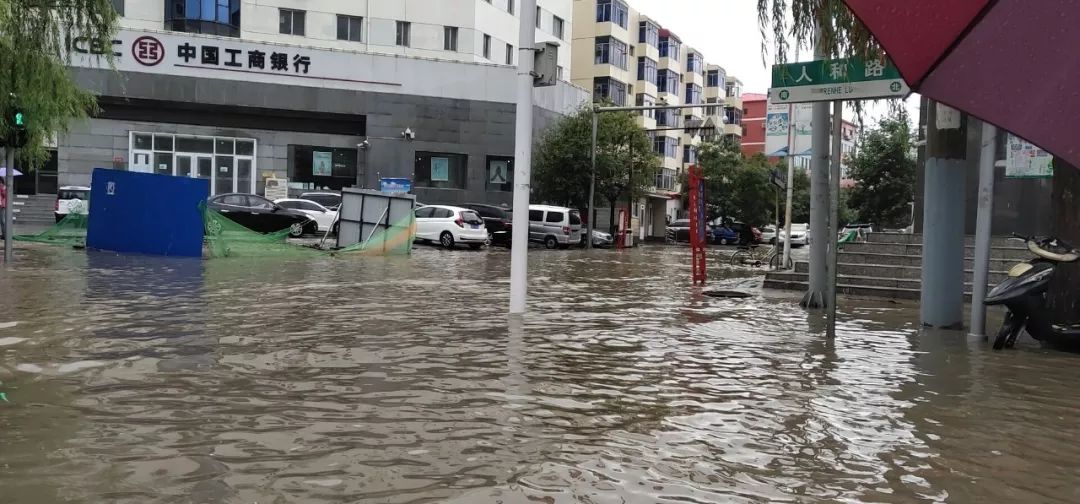 【文安狂降80-100毫米暴雨】城区急降骤雨!