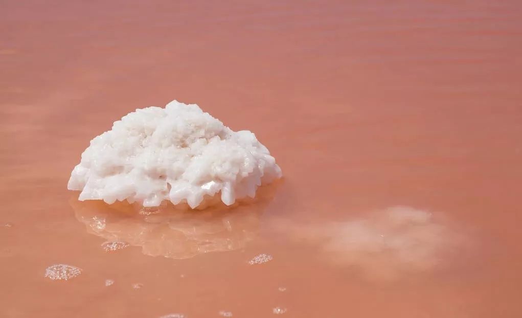 西班牙私藏一个小众粉红盐湖,连猛男都被引爆