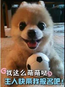 385a6f67f5ec487d967e9682a5390e5a.jpeg