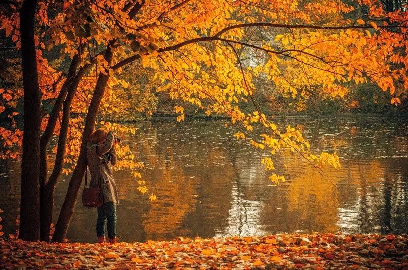 最美的枫叶大道,探寻藏在深闺的国家公园,去发现只属于秋天的美景