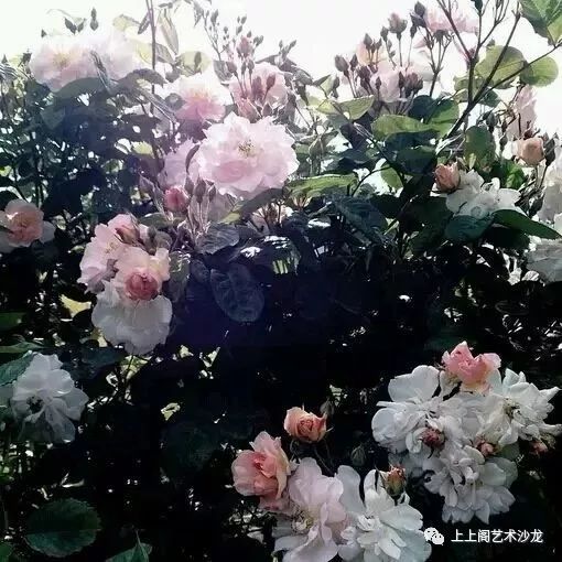 没有来日方长,只有时光匆匆