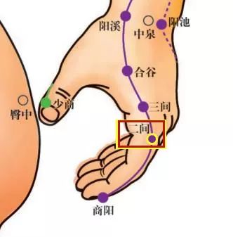 穴位知识十二经脉手阳明大肠经之二间穴