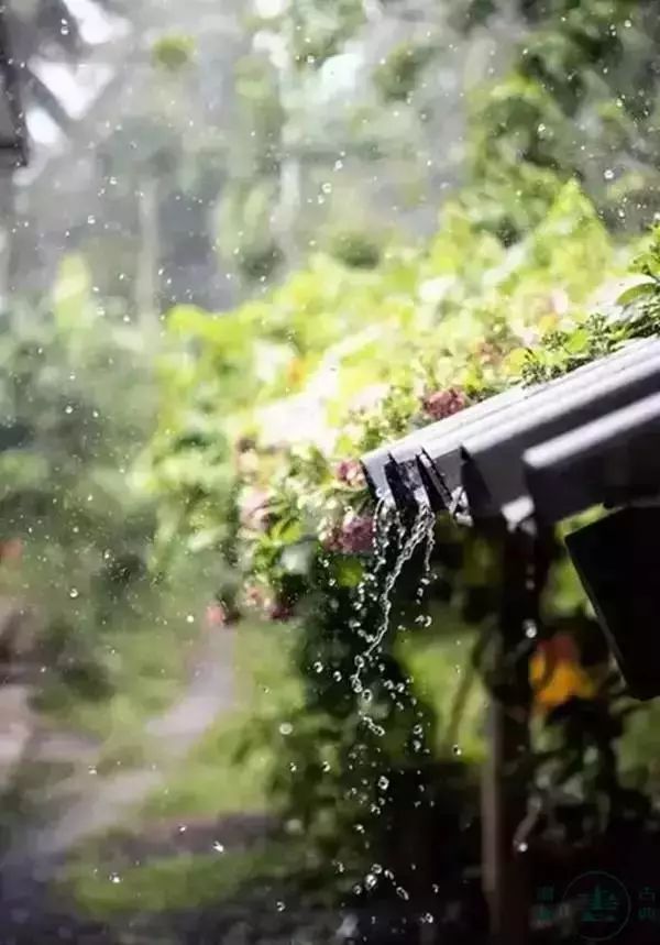 诗词里的那些无可奈何!
