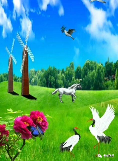 生活集锦15集 ,送给我的同学、同志、朋友,各位