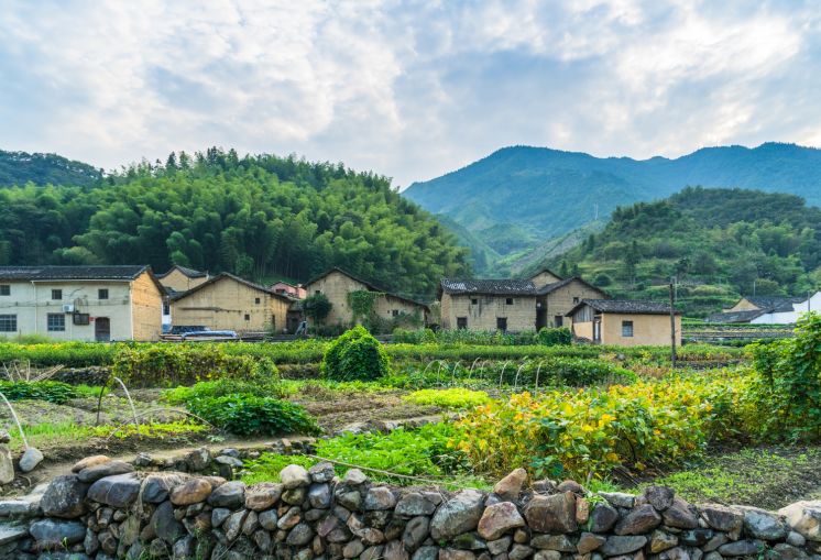 建水农村人口_建水古城图片(2)