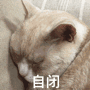                     距离否认腰间赘肉疑似怀孕才多久，奚梦瑶挺着孕肚又上了热搜