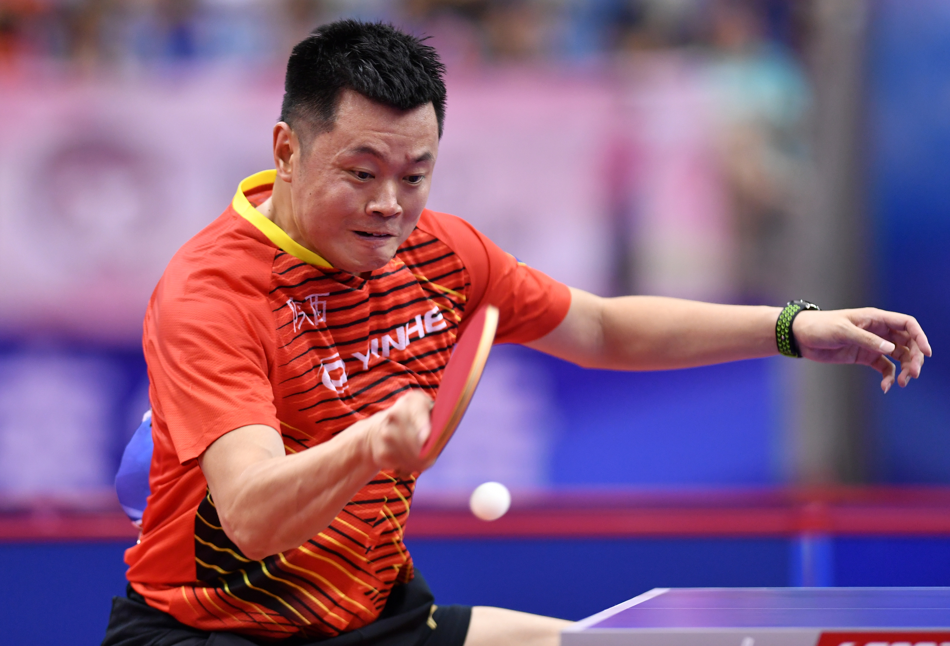 乒乓球——亚洲杯男单半决赛：马龙晋级决赛_日本