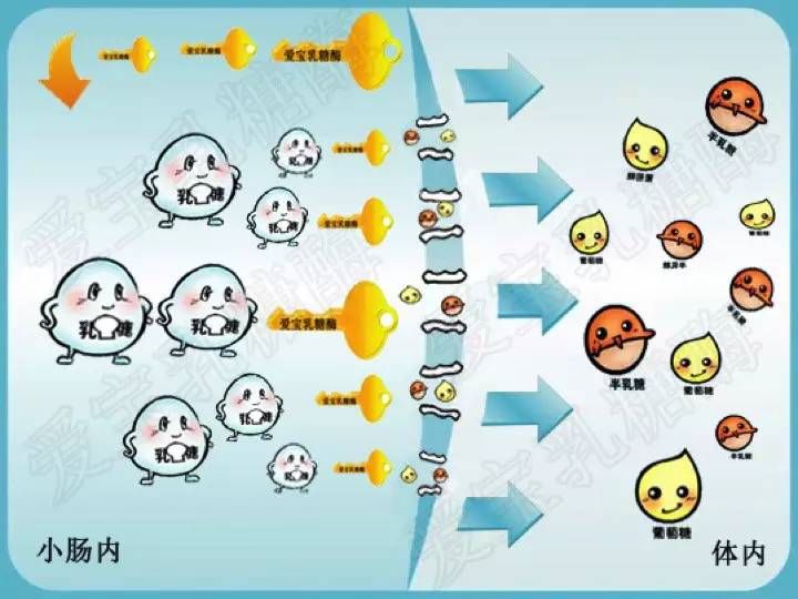 学点医丨4627名腹泻孩子138是因为乳糖不耐受家长注意