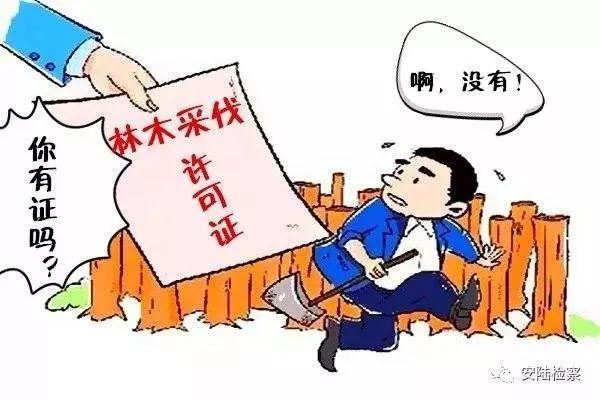 砍自家树,也照抓不误!前几天,仙游这个老人被刑拘了 188bet网上娱乐