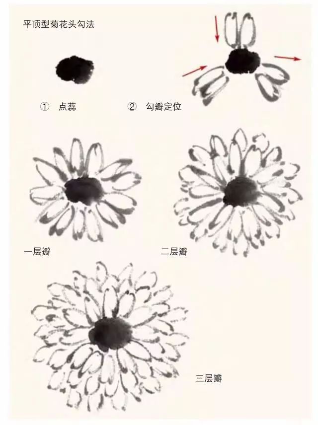 写意国画 | 菊花画法,清晰明了!