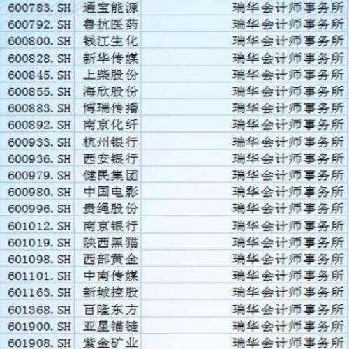 瑞华会计师事务所排名_瑞华会计师事务所(3)