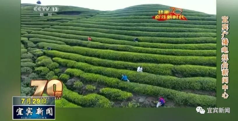 三江县经济总量_三江县(3)