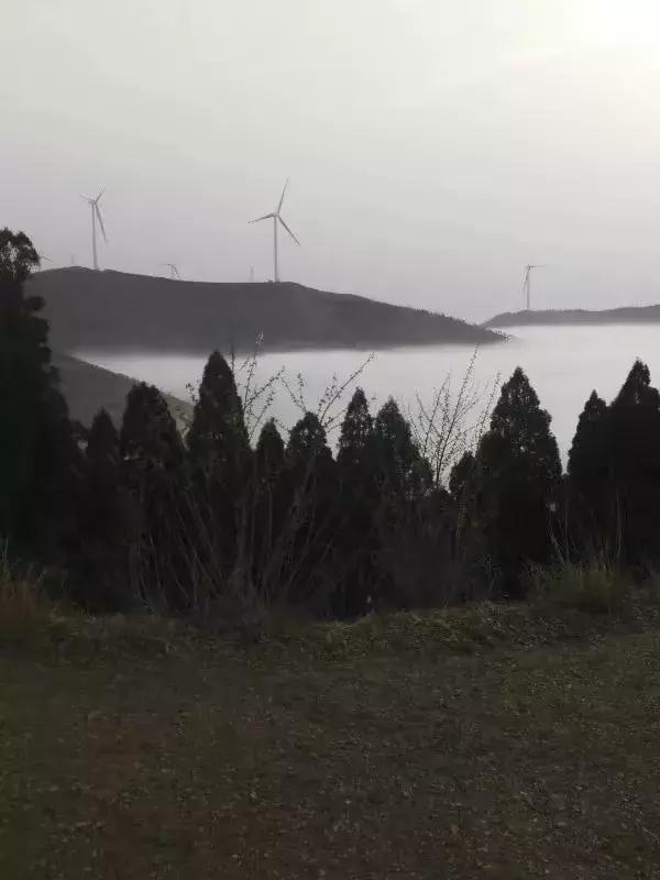 汶石村人口_台山汶村晚上图片