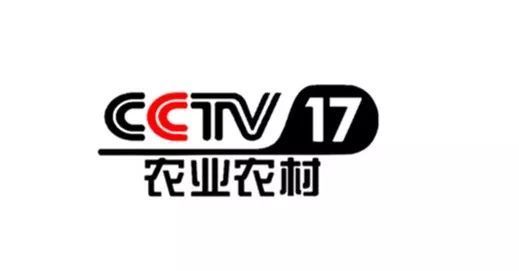 台湾间谍看cctv7致富_cctv7致富经视频_cctv7养羊致富案例视频