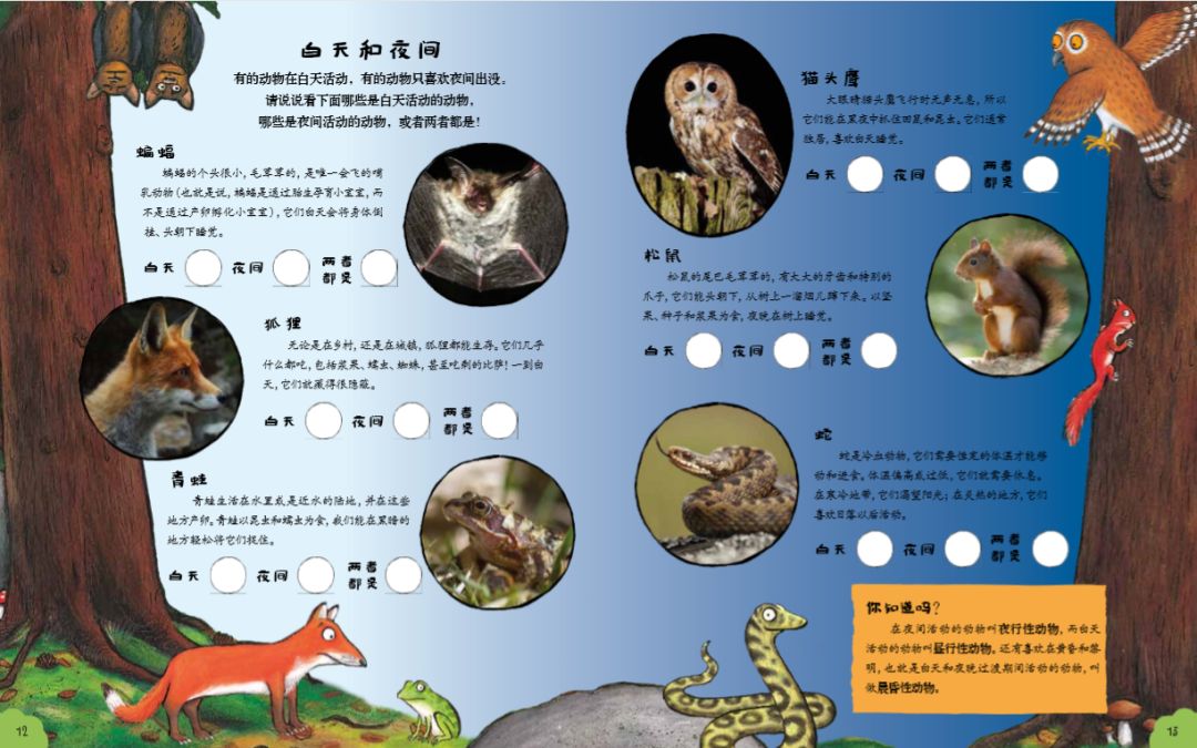 书中还有很多科普知识,比如可以认识夜行性动物,昼行性动物