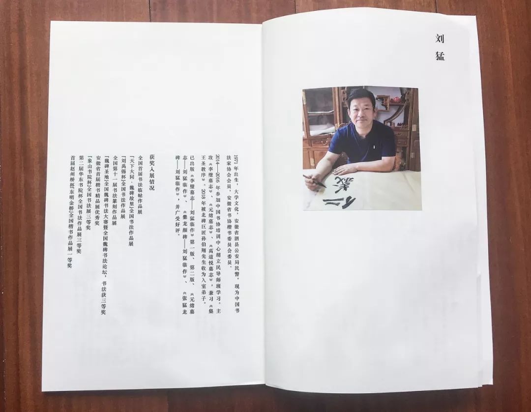 书画家影像网推荐当代著名书法家刘猛临作李璧墓志第三版重磅来袭