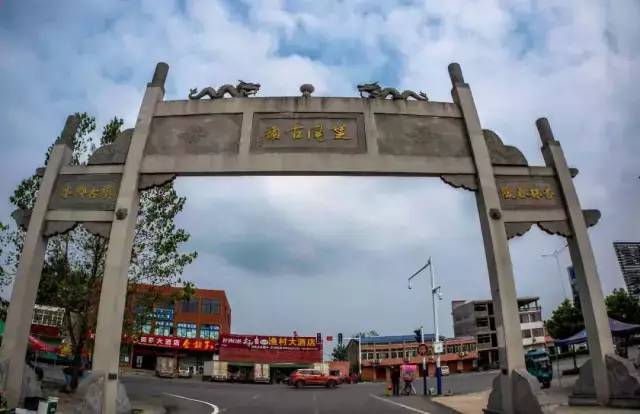 合肥人热成非洲人庄墓河畔的夏雨荷夏紫薇喊你来赏花避暑