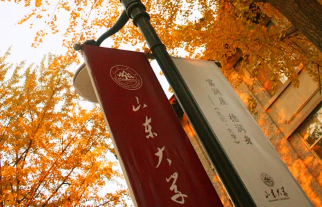 深陷"学伴"风波后,山大师生经历了什么?