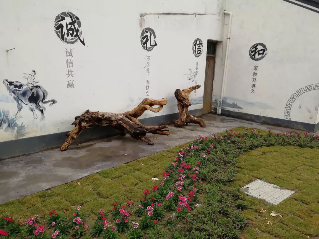 优美庭院|墙的n种装饰方法,速速收藏!