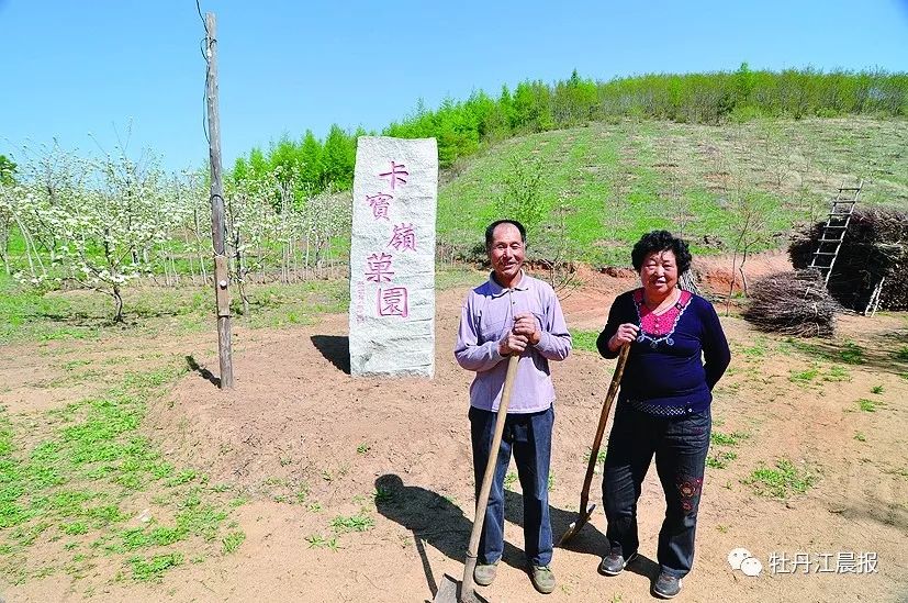 王永生家住林口县朱家镇,镇里认识他的都叫他"树痴.