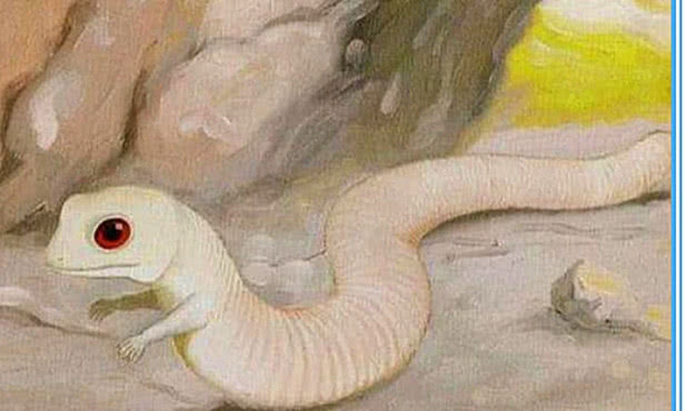 梦境奇观，解析梦到猫把蛇吞肚子里了把我吓坏了的深层含义