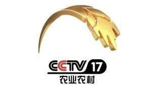 cctv7致富经视频_台湾间谍看cctv7致富_cctv7养羊致富案例视频