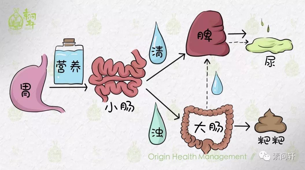 长期大便前干后稀是绝对不可以忽视的一个情况到底哪里出了问题