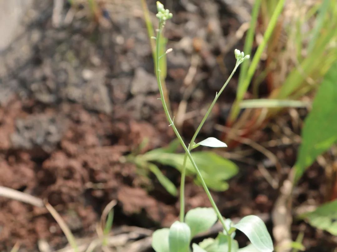 奇异博士的超能力