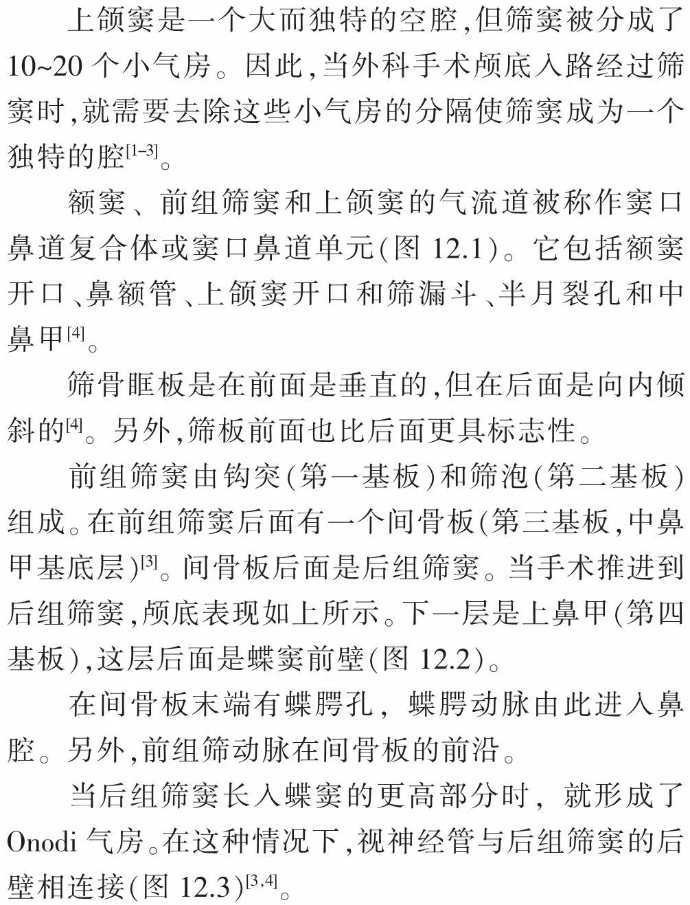 神经解剖颅底手术中的上颌窦和筛窦鼻旁窦入路的技巧与要点aldocasol