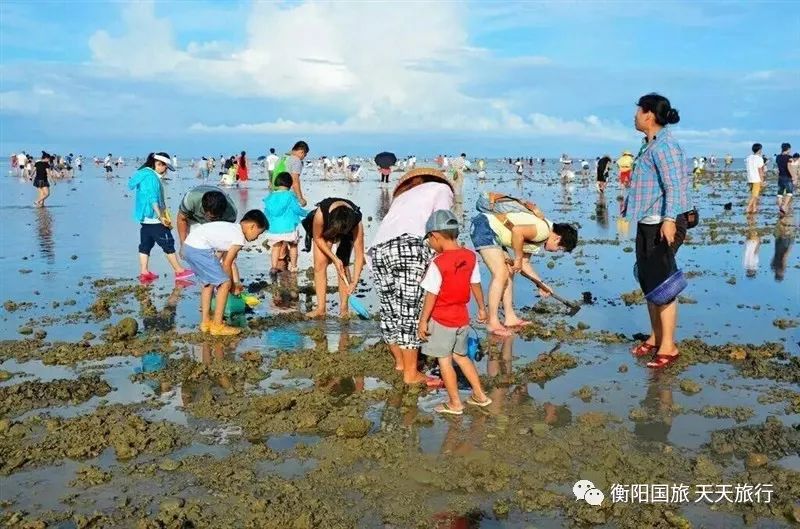 徐州/台儿庄/青岛/大连/旅顺/蓬莱/威海/烟台/日照/连云港海陆空双船