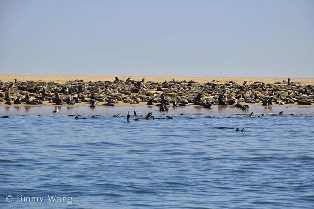 南部非洲直播(下)| 跟着团友Jimmy,聆听古老大