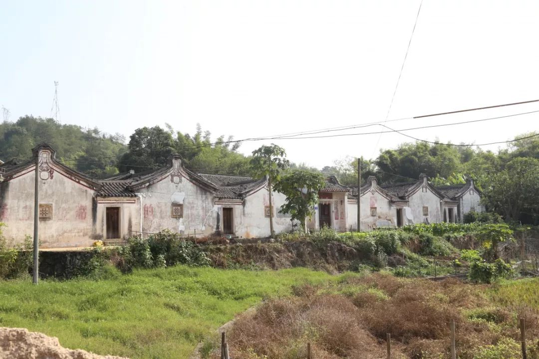 客家民居牛角屋据说这样的围龙屋天下独此一家