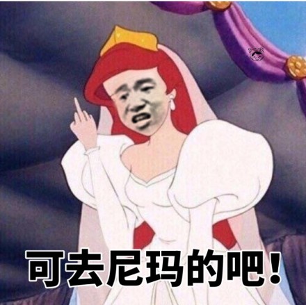 今天份的斗图表情包套图