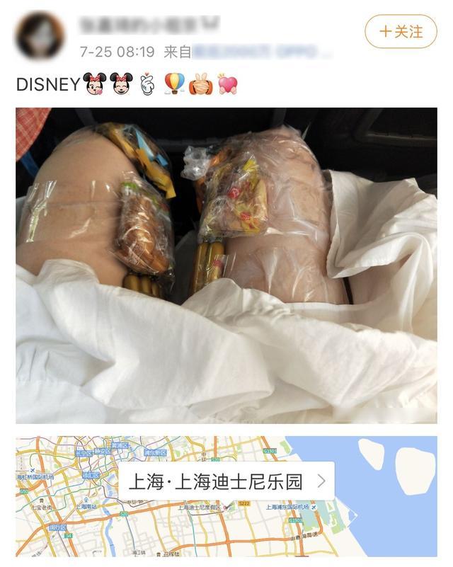 女子把吃的绑在大腿上带进迪士尼乐园还发微博炫耀