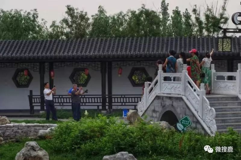民生| 涿鹿滨河公园初夏美景引游人