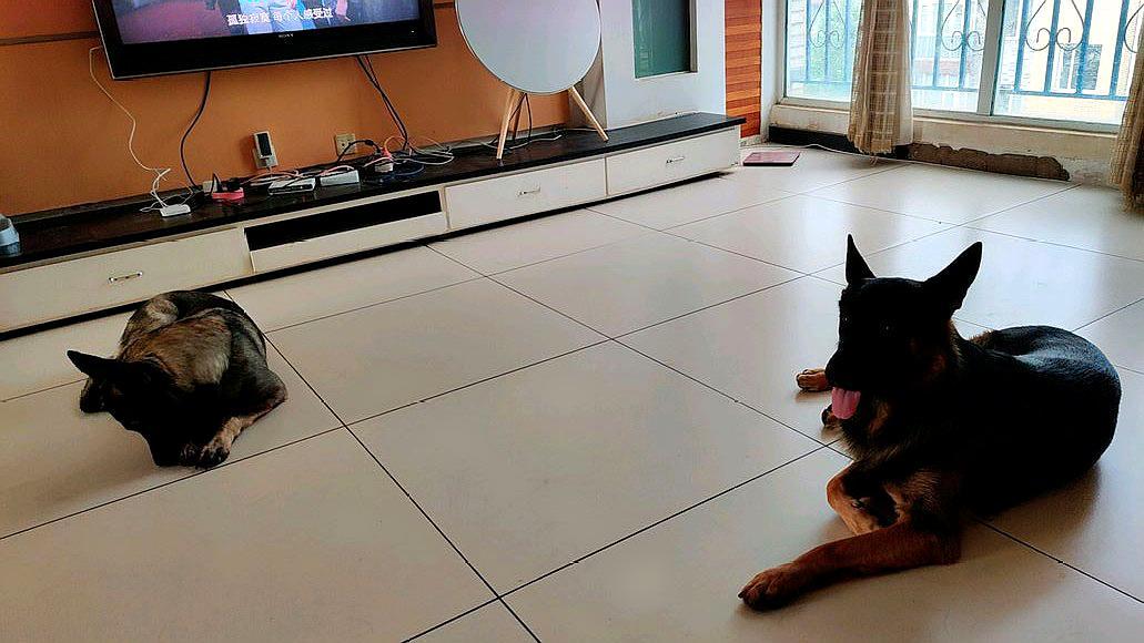 驴子围着石磨转猜成语_石磨图片(2)