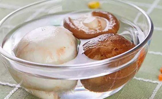 蘑菇为什么一碰就碎 2a70b79e969540bd9193c03025c1af93.jpeg