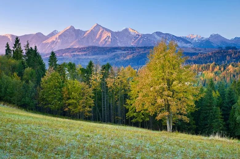 欧洲高塔特拉山区森林草原.utiwamoj摄