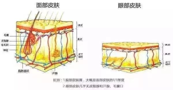 眼角长皱纹了怎么办啊