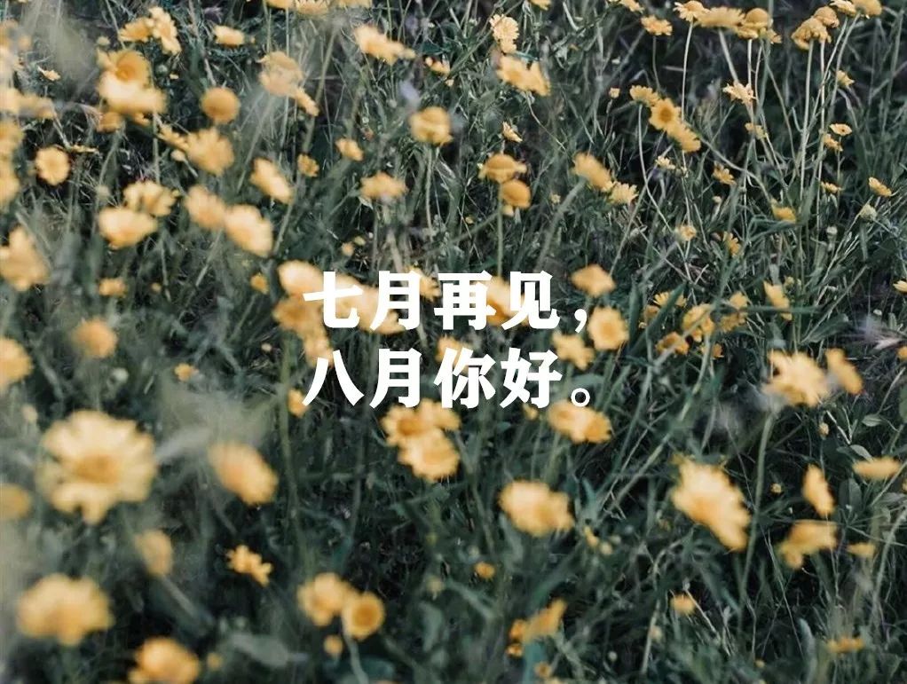 七月再见,八月你好