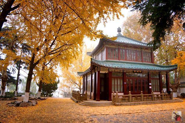 别总去夫子庙和中山陵,南京可以这样玩_金陵