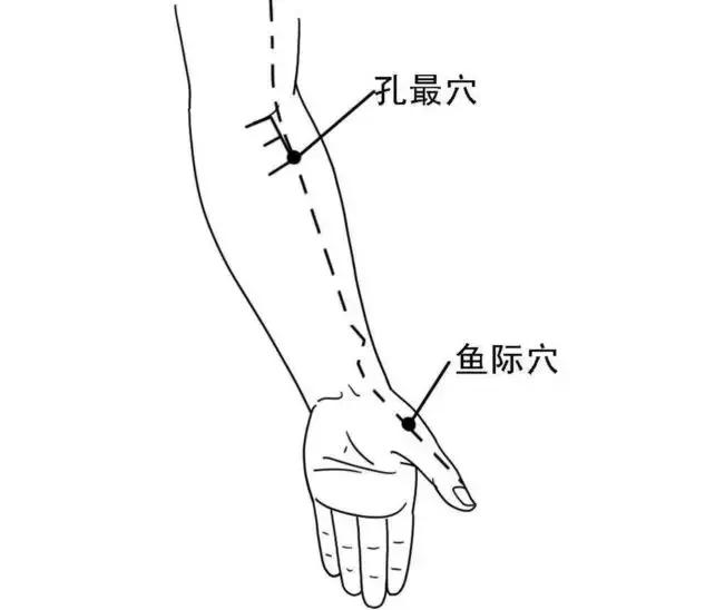 孔最穴定位:前臂掌侧,当尺泽穴与太渊穴连线上,腕横纹上七寸处.