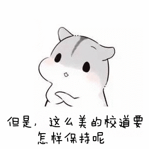 仓鼠问号表情包合集|小傻猫,你说啥