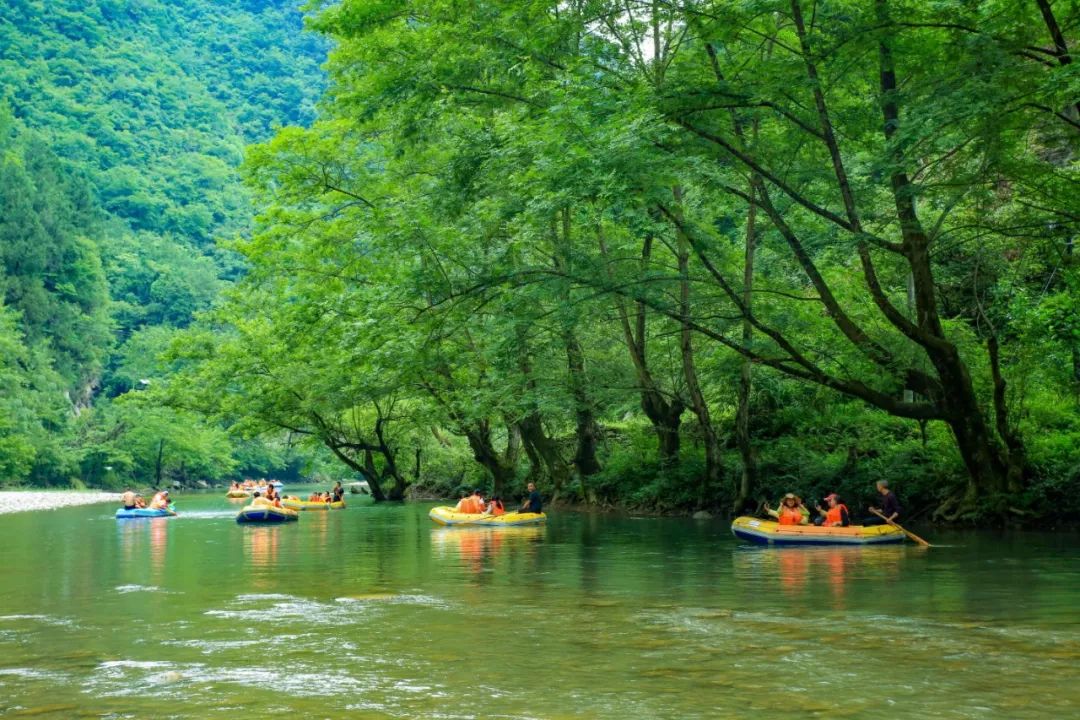 龙潭河位于川陕渝三省交界处,位于大巴山心腹地带的万源东南方的旧院