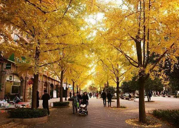 大古北新房即将入市!推97-140平3-4房及叠拼别墅! 88必发官网登入