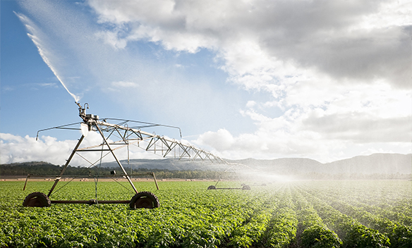 智慧农业节水灌溉系统