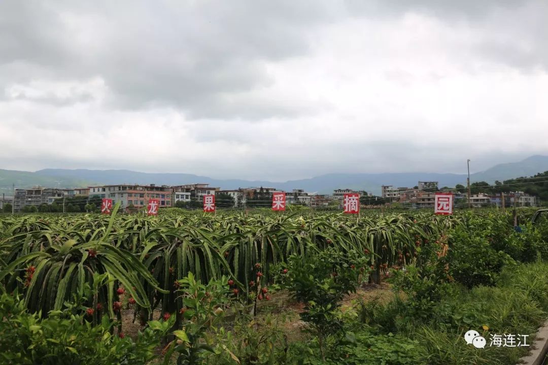 东岱镇人口_东岱镇洪塘镇实景(2)