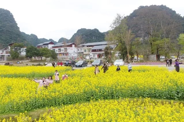 田阳巴某村入选全国乡村旅游重点村名单!_百色