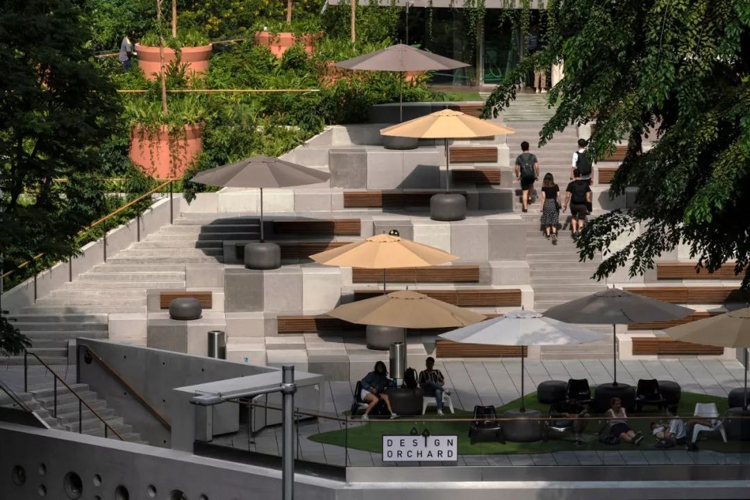 "Design Orchard" Incubator By WOHA-搜狐大视野-搜狐新闻